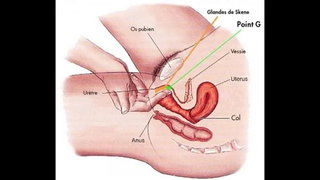 Comment Devenir Une tre Femme Fontaine ? Comment Faire Jouir Ta Copine