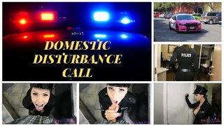 Domestic Disturbance Call