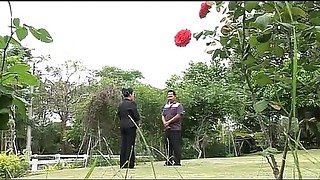 phisao taihong.2011